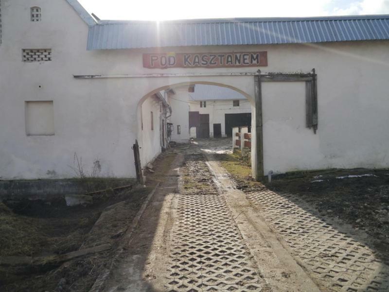 Pod Kasztanem Gospodarstwo Agroturystyczne Stronie Śląskie 외부 사진